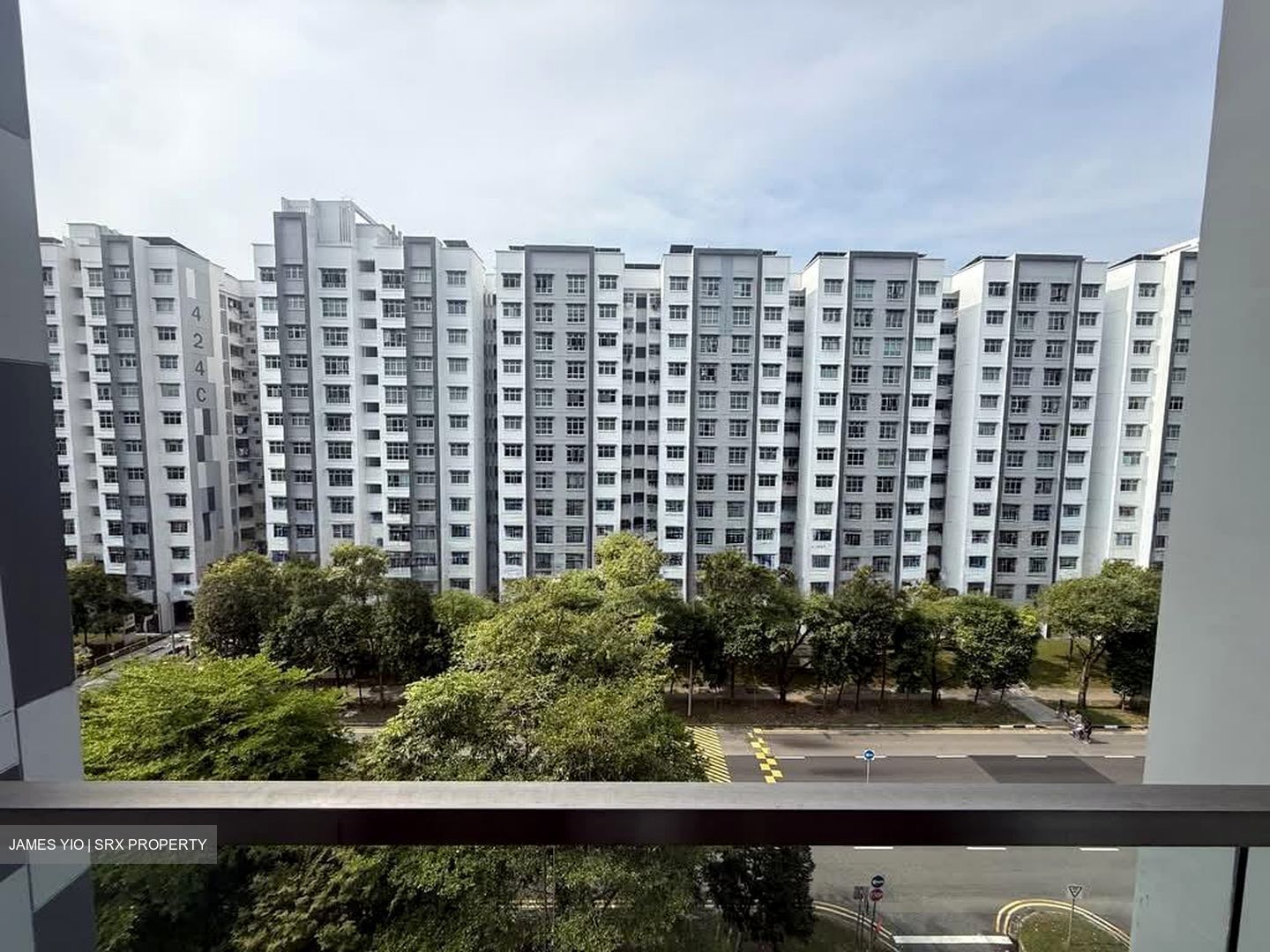 The Canopy (D27), Condominium #563022011